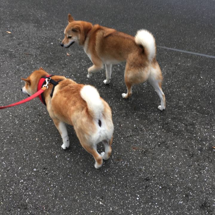 2fa5d3ba cb99 4989 80fe cd59461252f0 1602376180689