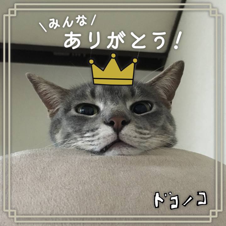 2fa6b0db 706c 4fea 9f65 430d2e116085 1622861600262