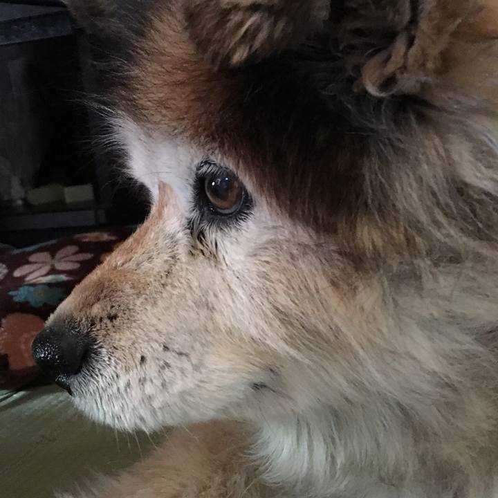 2fa6c128 8adc 481f 9ce3 d62e322ab4a8 1602730871676