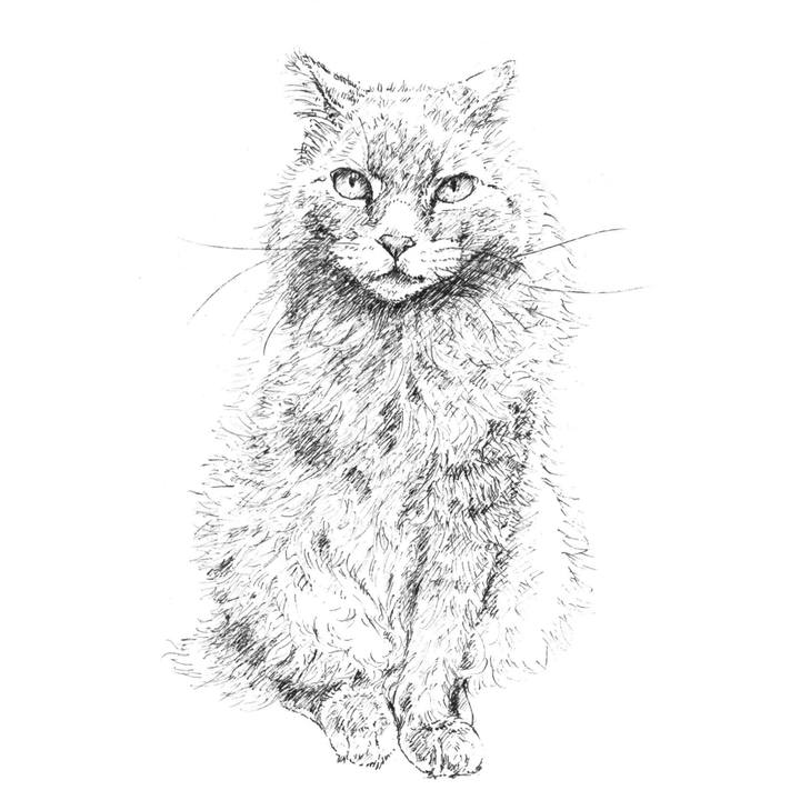 2fa6e518 93a8 446f 8cba 8ed28400dfea 1585749139017