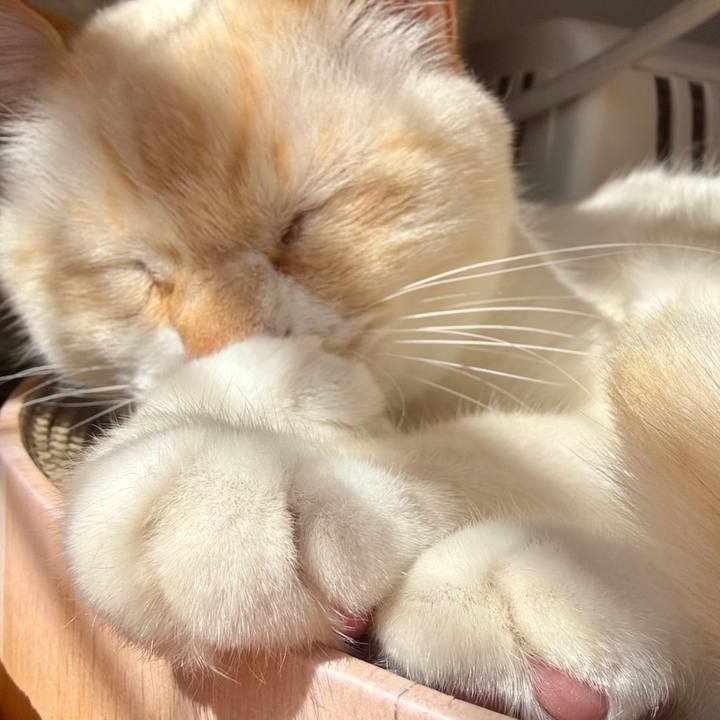 2fa732ff 2840 4234 ad68 376460b01191 1772680992236