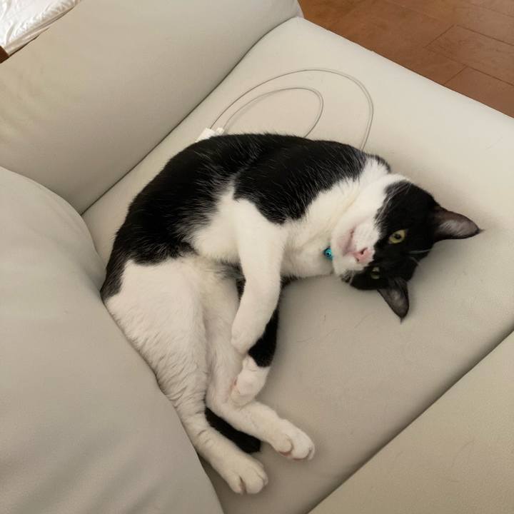 2fa74b6c fe5d 491b 8b72 5d5e60c2e0c3 1727086709687