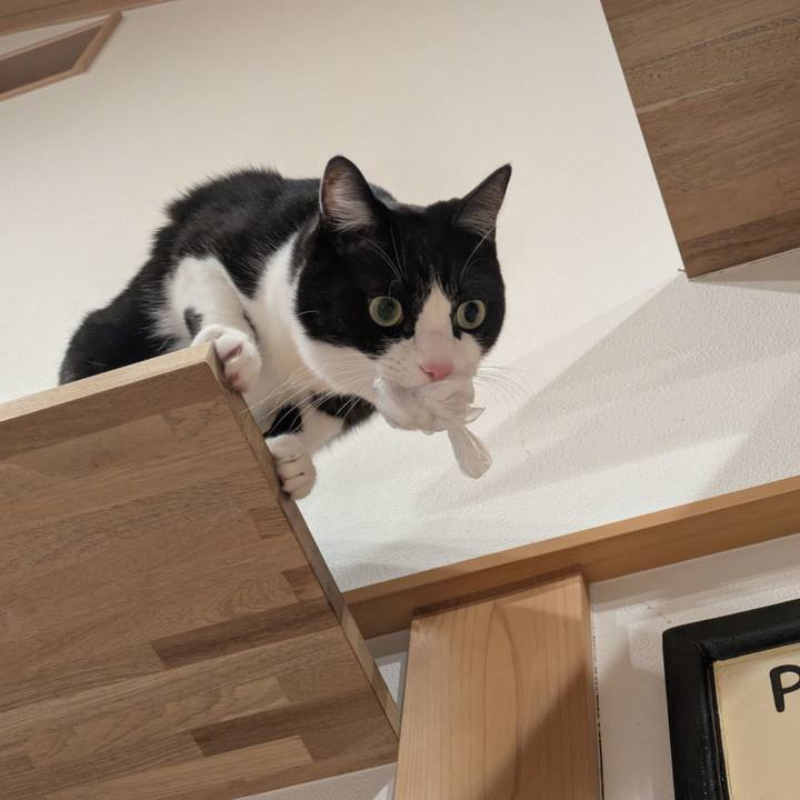 2fa7694c 4e26 4af9 9d41 ecd197cc4a4e 1765877765074