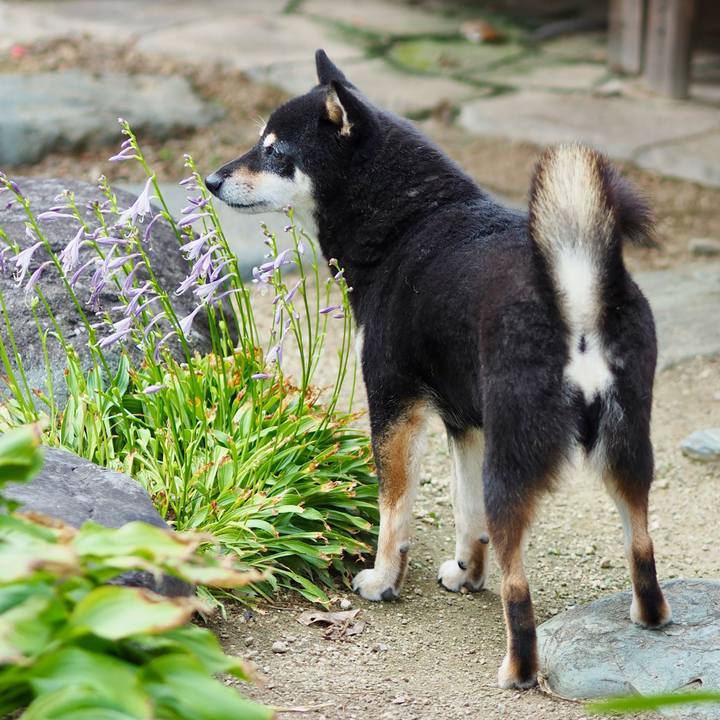 2fa782a2 f94c 4a35 933a 5dfe93a1b795 1758614324993