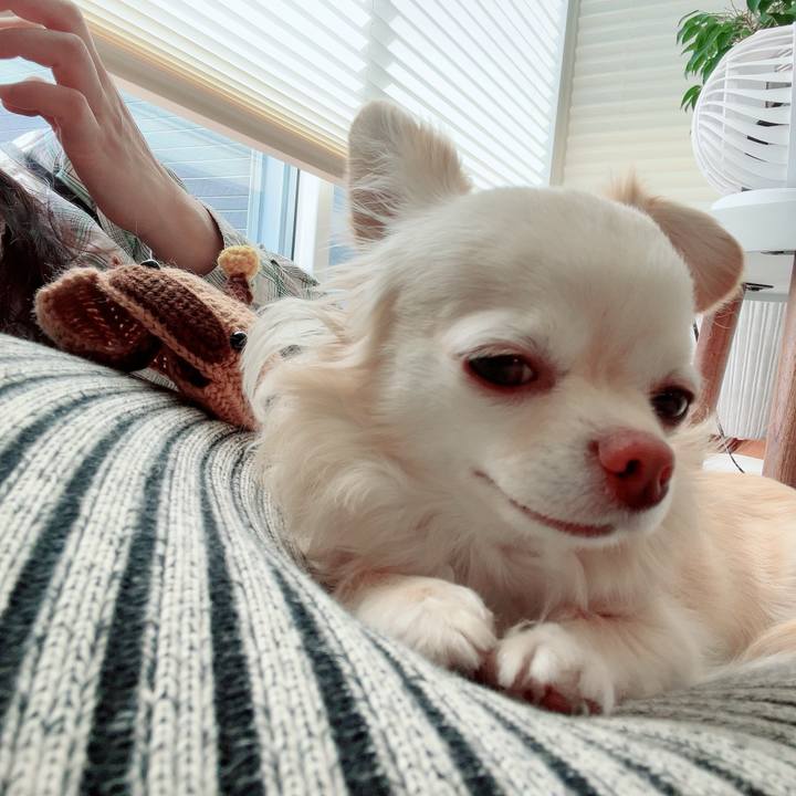 2fa7923a f32f 4a58 a6f5 586ad17bb200 1711884885579