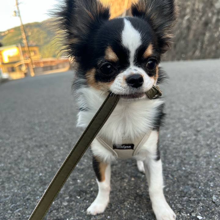 2fa7b108 eb2e 4966 a753 a7d6b5842784 1762591578106