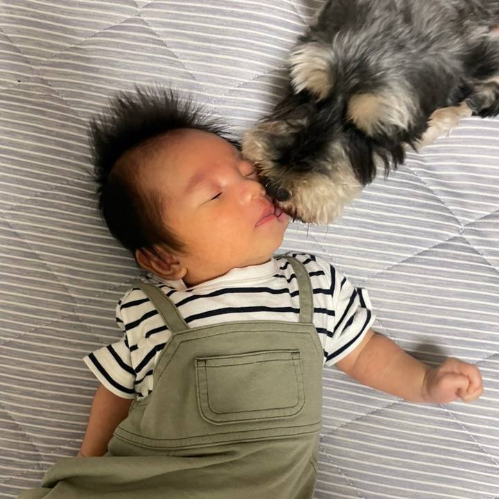 2fa7b6e3 9da8 4e82 95e1 d9e53f438fd3 1659887093789