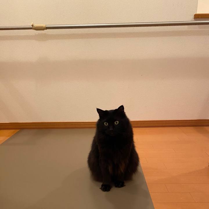 2fa7ed3c cea0 4cdc 8079 7d8d392d50f0 1590404128543