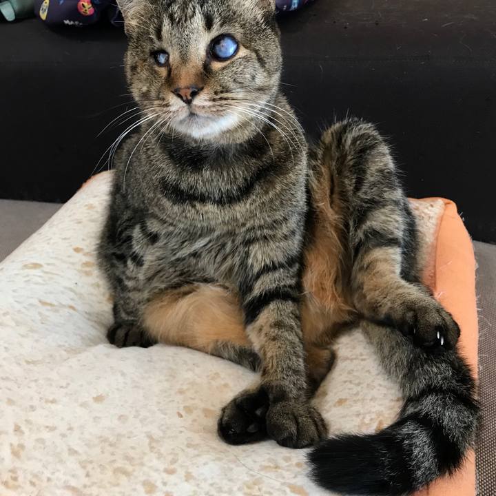 2fa7f08b d874 4c4d a5af 7f067f5367ce 1572572643613