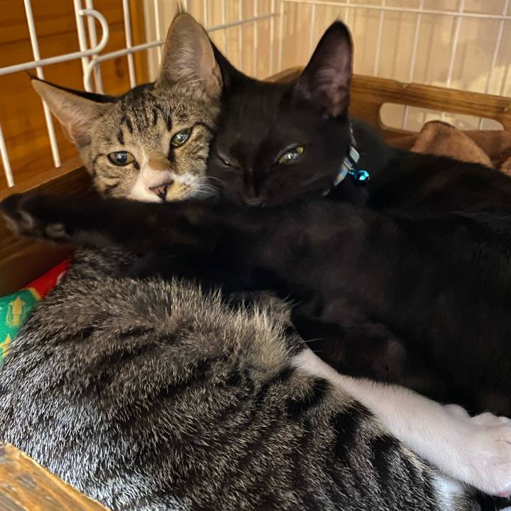 2fa7fdee 45f6 489d 855c e10aed779ba3 1629537075463