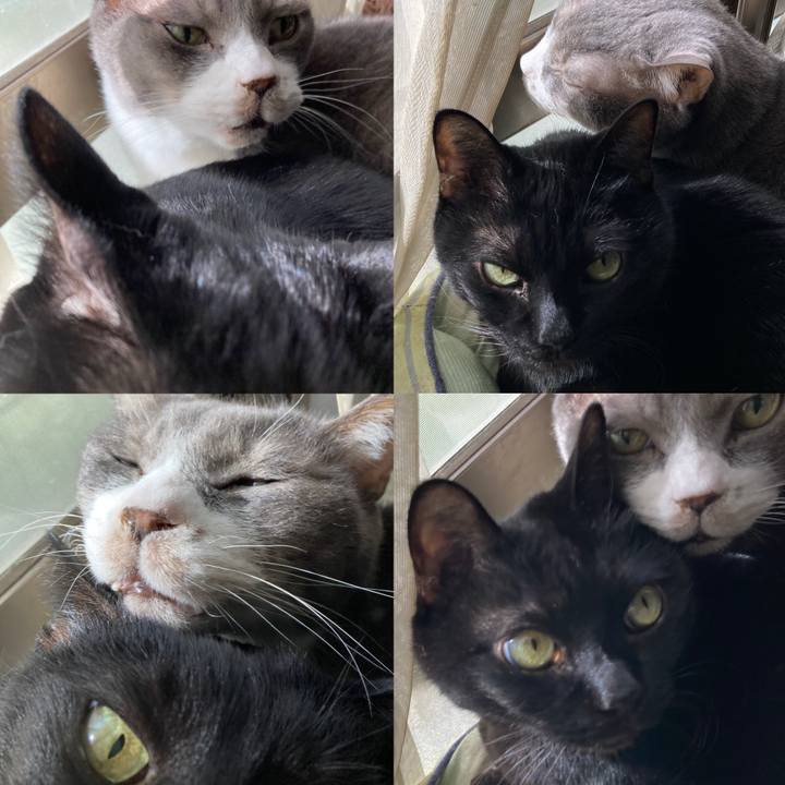 2fa83244 3580 4dc6 9756 7a78935eddfd 1768635347855