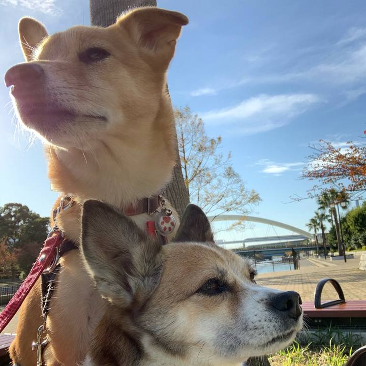 2fa8330b 4393 4094 8213 f490aa817b1e 1574072805902