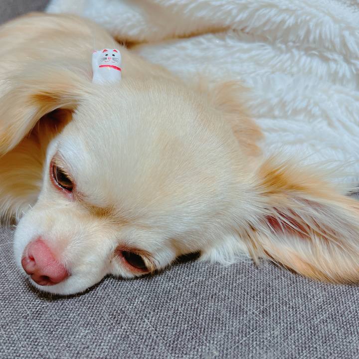 2fa842e6 73ec 4dbb b6c5 8c0cbf4116b0 1650766680028