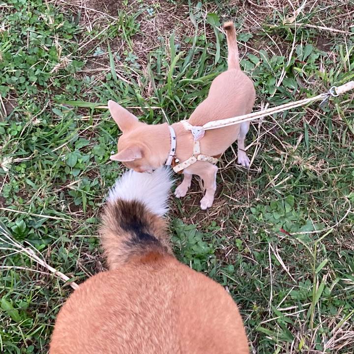 2fa84522 08e3 4d84 9ab9 ab5efe8cbcc4 1697709531932