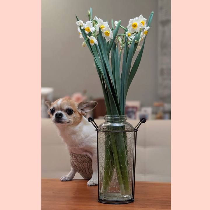 2fa872bf 754e 4748 85f5 df2d67b813da 1766478288686