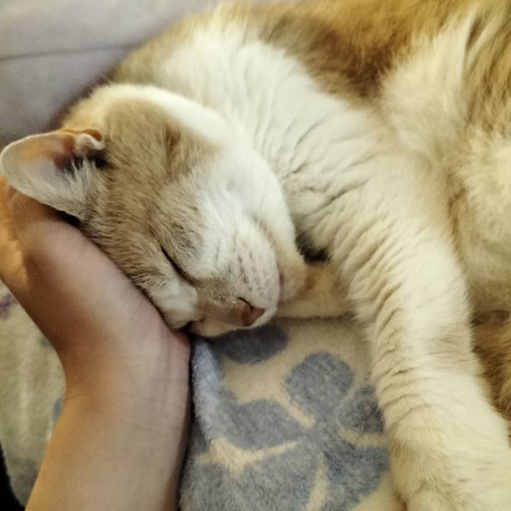 2fa89482 e6e7 4d89 9712 fe793c9bb60d 1658232932588