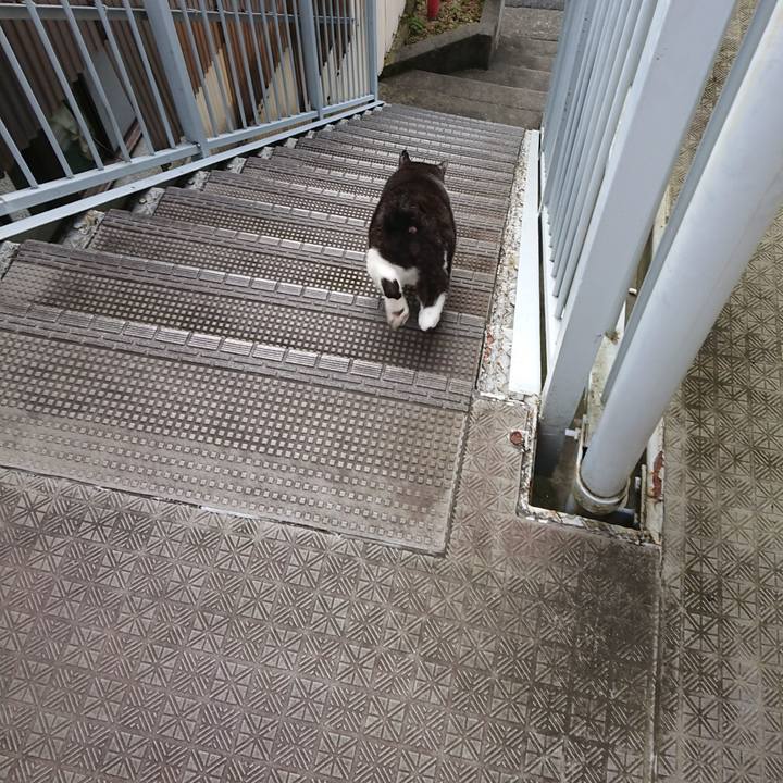 2fa8b0b5 579b 453d a7ea 6e84e34fe4f3 1596406403631