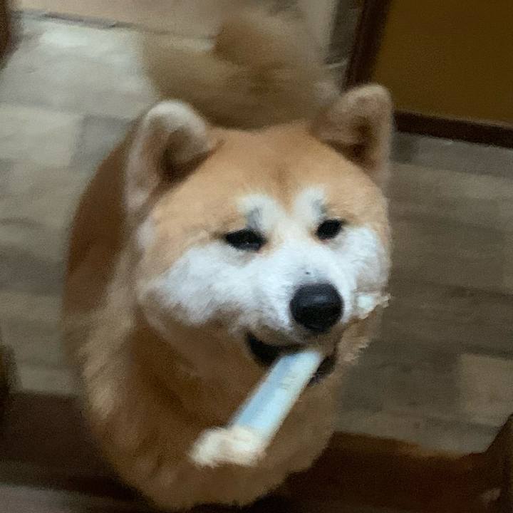 2fa8b709 2379 4368 a321 c5312d8ea925 1708861184520