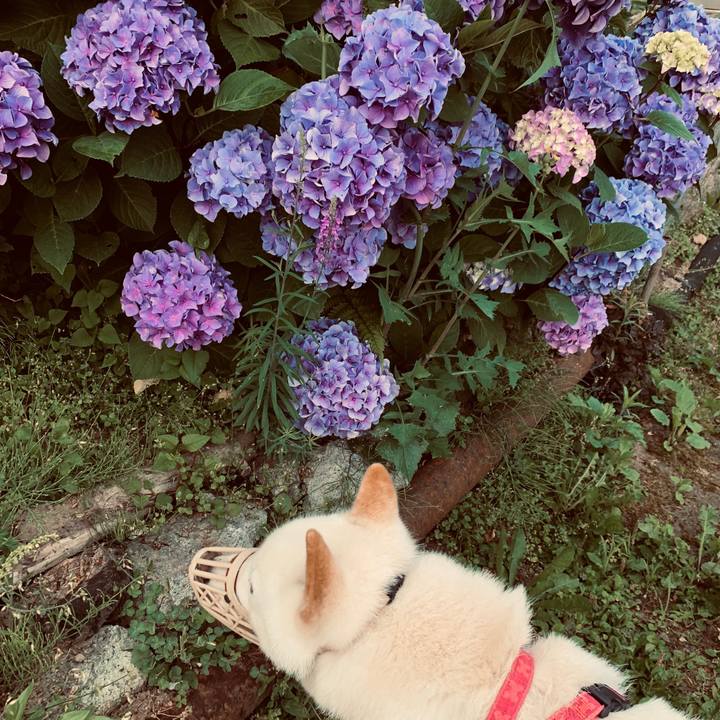 2fa8cc55 2e19 4765 87b5 bb94dca63f0f 1564088790690