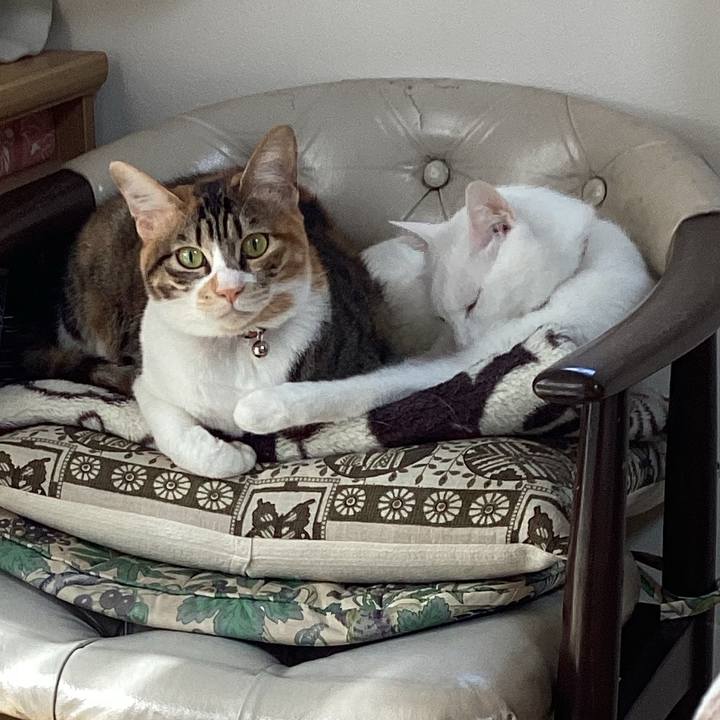 2fa92de6 8413 4c03 bcef 94fb01de2dd0 1681171006993