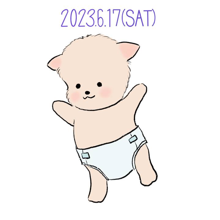 2fa9a419 f67b 44f9 ab9b 7a31bb798ccd 1687004764536