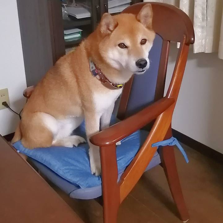 2fa9d1ff 5119 4e8f 976f 3b5453b3c1bf 1657538775804