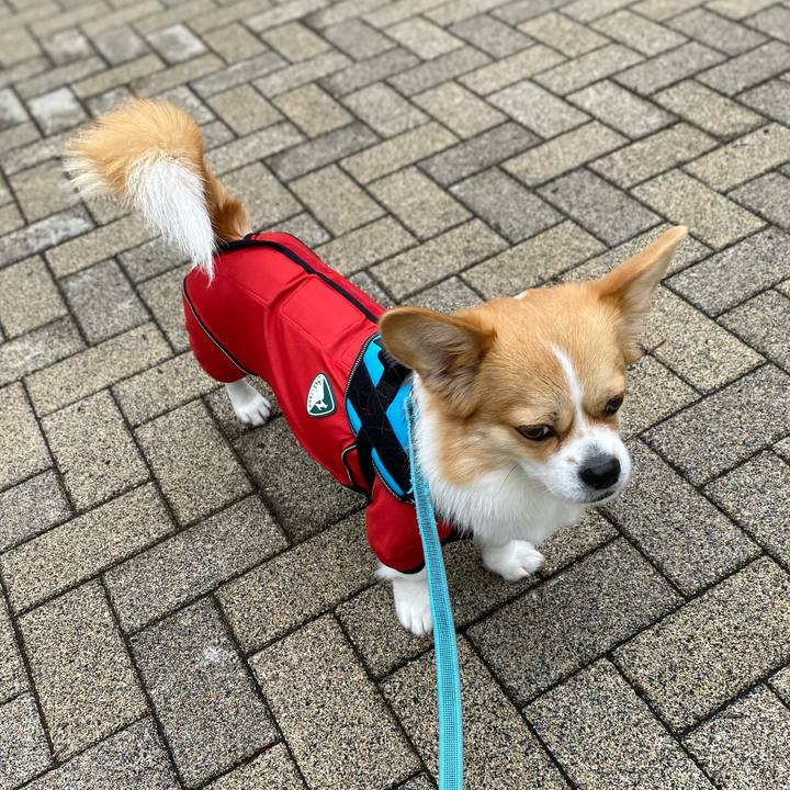 2fa9e45f cb36 4a61 bf55 b63446679c35 1624935312353