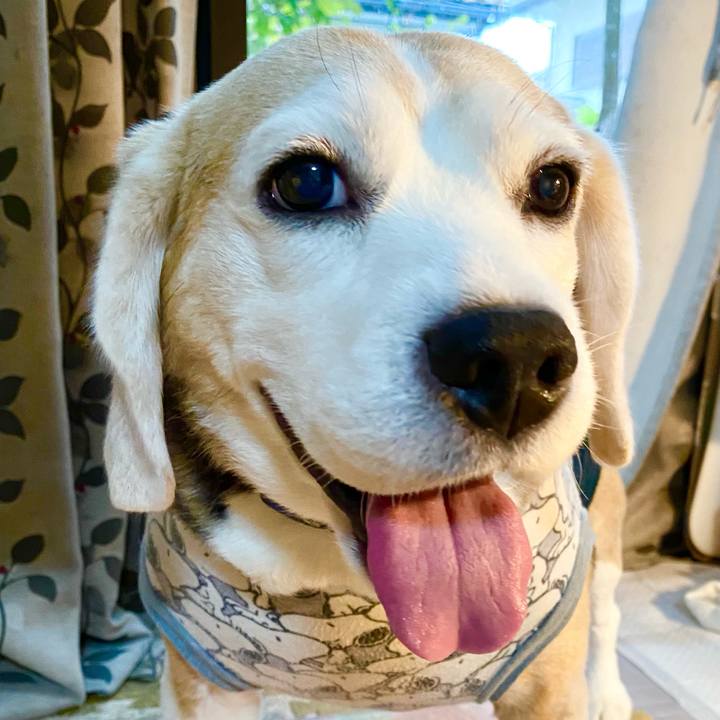 2faa378e 5296 4176 bc06 717619479eaf 1622807261320