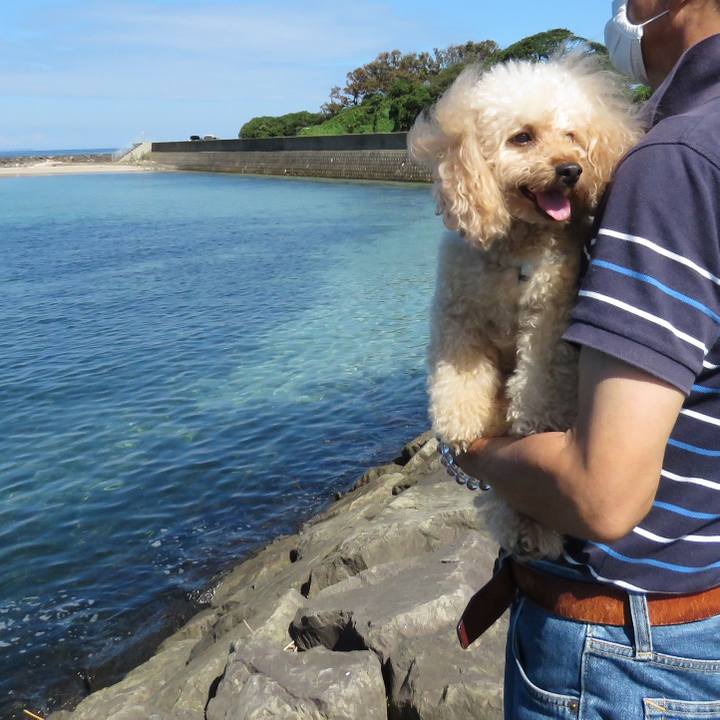 2faa3d64 17f5 4b68 9a1a 49862d2e051b 1633849823969