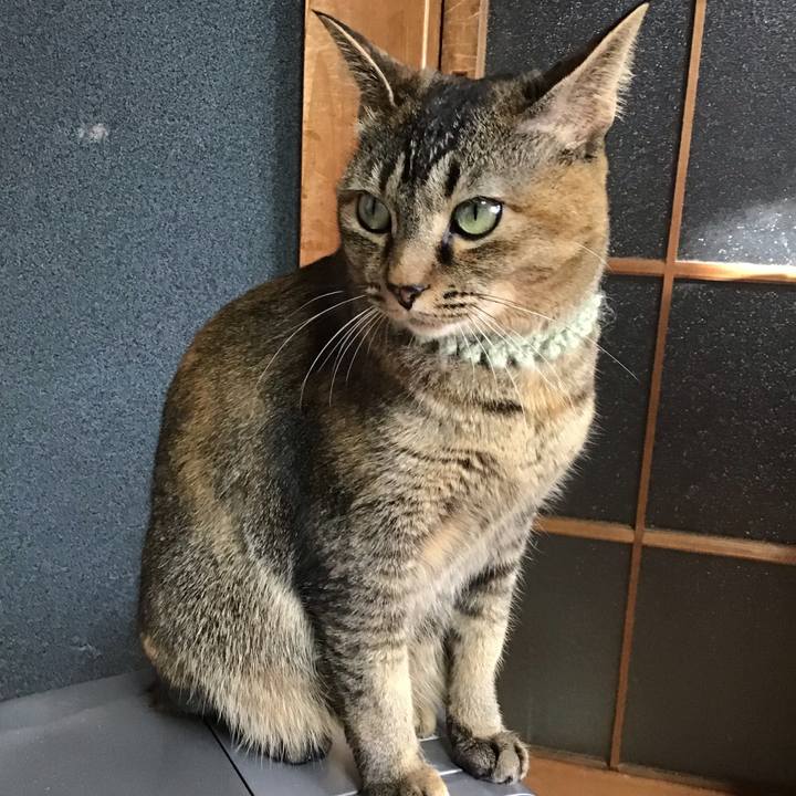 2faa50b9 d0b9 4fee 860f ddeaf8450ee6 1644711543399