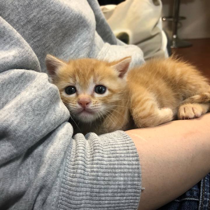 2faa65c4 3218 44fd a927 ff9689cbb6f2 1560082584266