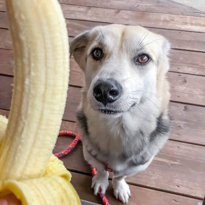 2faa9b5d 86d7 49e7 95c8 14d1d68c0b05 1515400726936