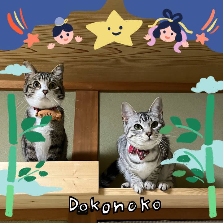 2faaf3ef ea30 4b50 80a7 096db06ff1d6 1720755073165