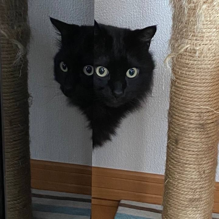 2faaf5ad 8ed9 4156 a05d 2fb01b3e52b9 1583043643409