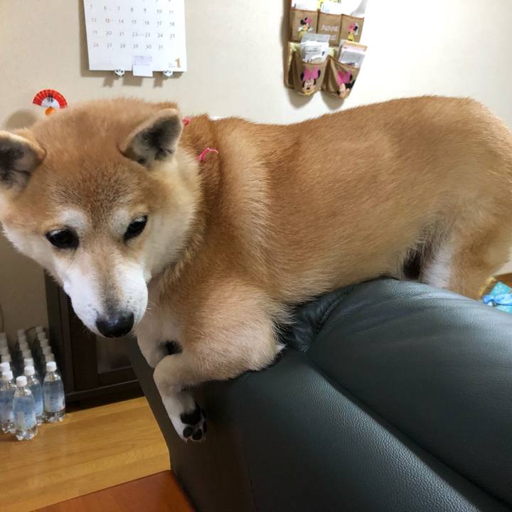 2fab00eb ded1 4ddb b6f5 f88aed1f6efb 1577799675721