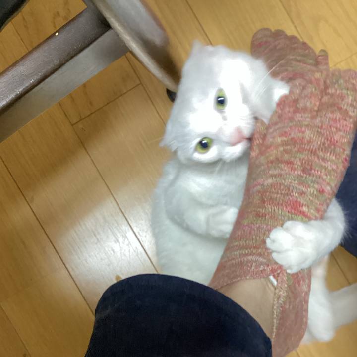 2fab0265 f72b 4973 93d7 f7499dc45b73 1655178415971