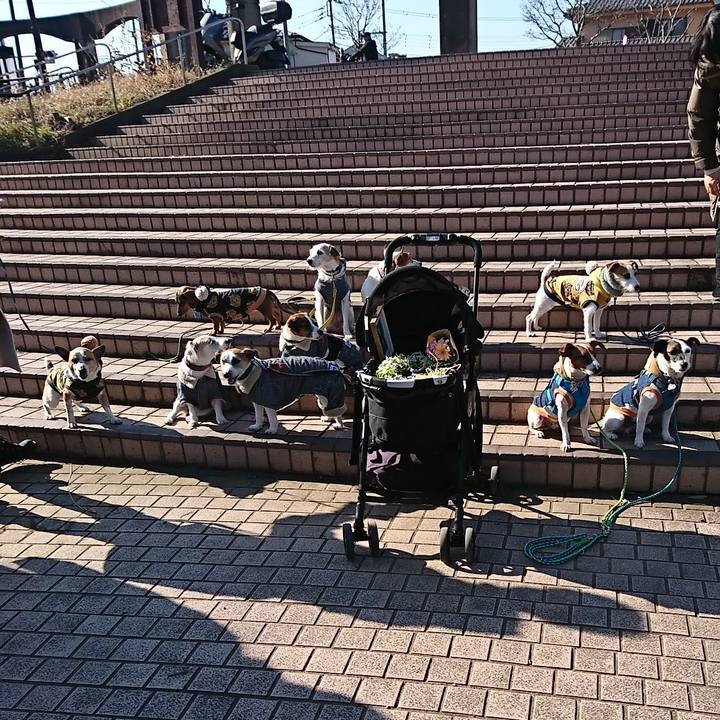 2fab26ad 3a8f 4ad4 bf51 d73317268e04 1578034306698