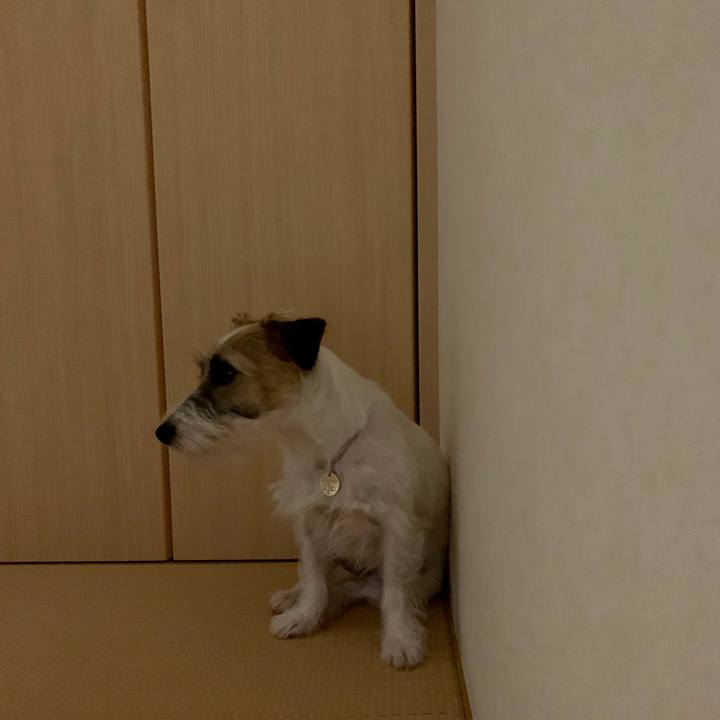 2fab4775 90c1 4a77 a41a 85a7872c1b6c 1626012798731