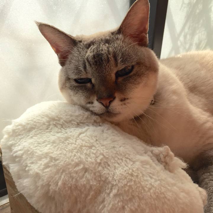 2fab4c47 b9ff 4cf0 9246 795bc2e57b80 1543896400939