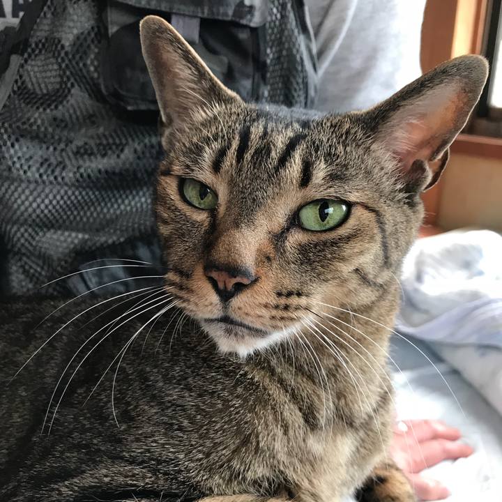 2fab661c 6875 43c3 b138 8b555dfeedf4 1526529505092