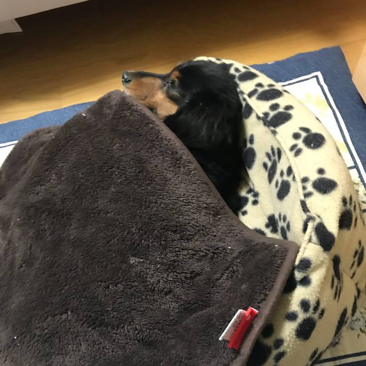 2fab8771 85e6 4291 8d22 aa47bd04ee7d 1510356346700