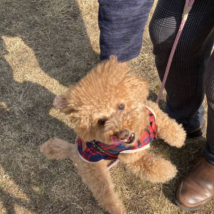 2faba8b7 b4c0 41cd b573 9241d280ec1c 1647055782934