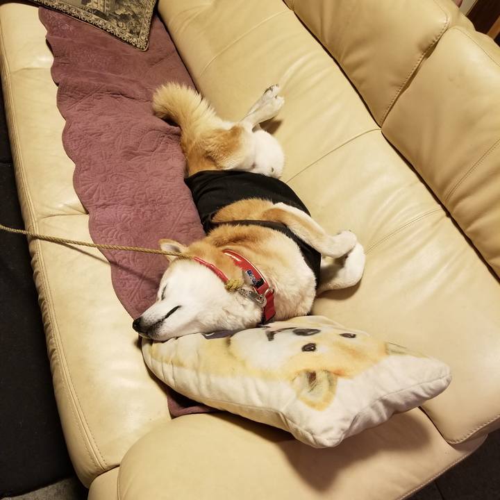 2fac11ad 57b5 43cc 995b 4029bc4ca0a3 1730892378081