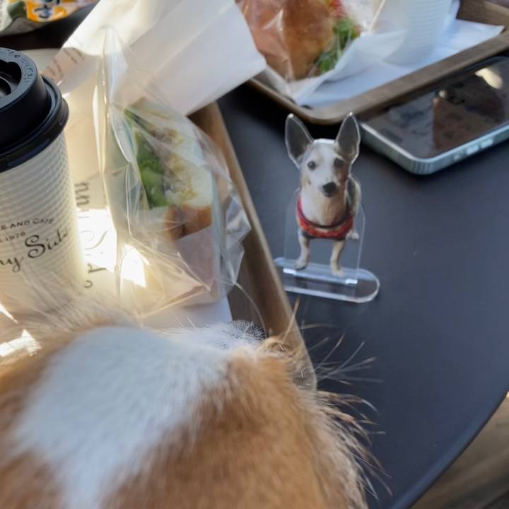 2fac38b2 d484 46a2 bb9c fc934f3556da 1730716523325