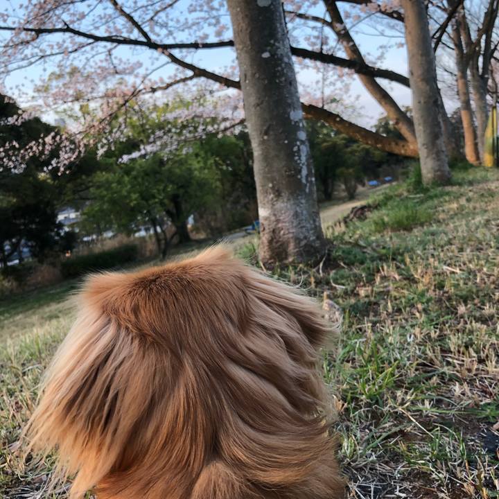 2fac59e5 0309 44fa 836d de19647d6934 1522099482348