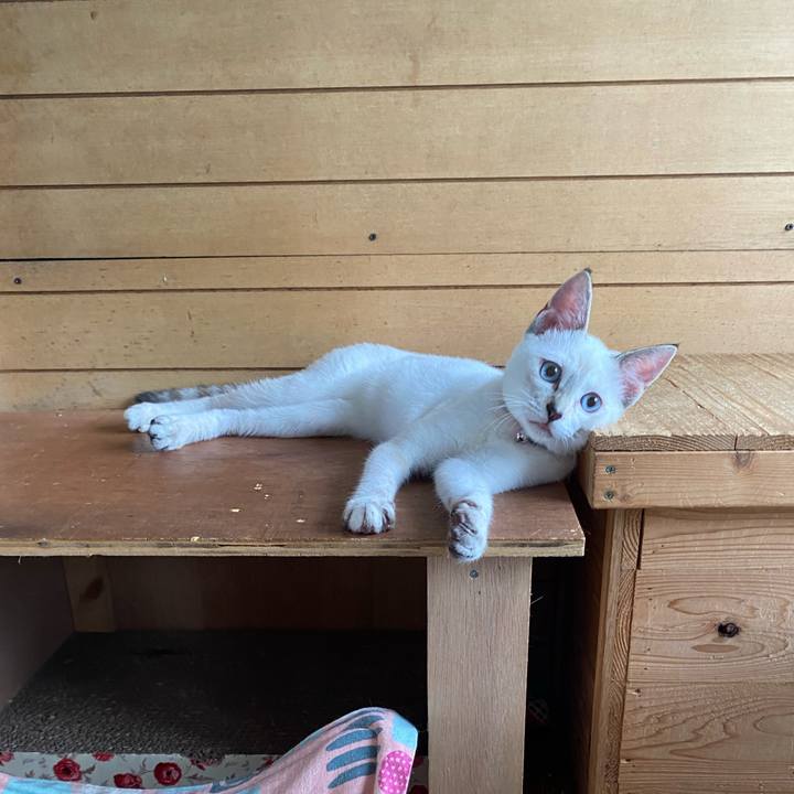 2fac9213 b020 4f61 a519 90209a65c1e2 1629852794223