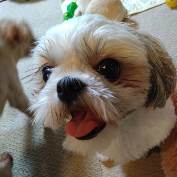 2faca6ec d656 4748 a31f c2f09eb762de 1630898967531