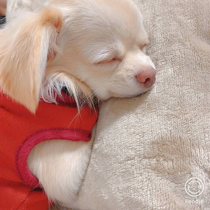 2facdf5b e51b 434c 9aba a355946531bc 1606170803755