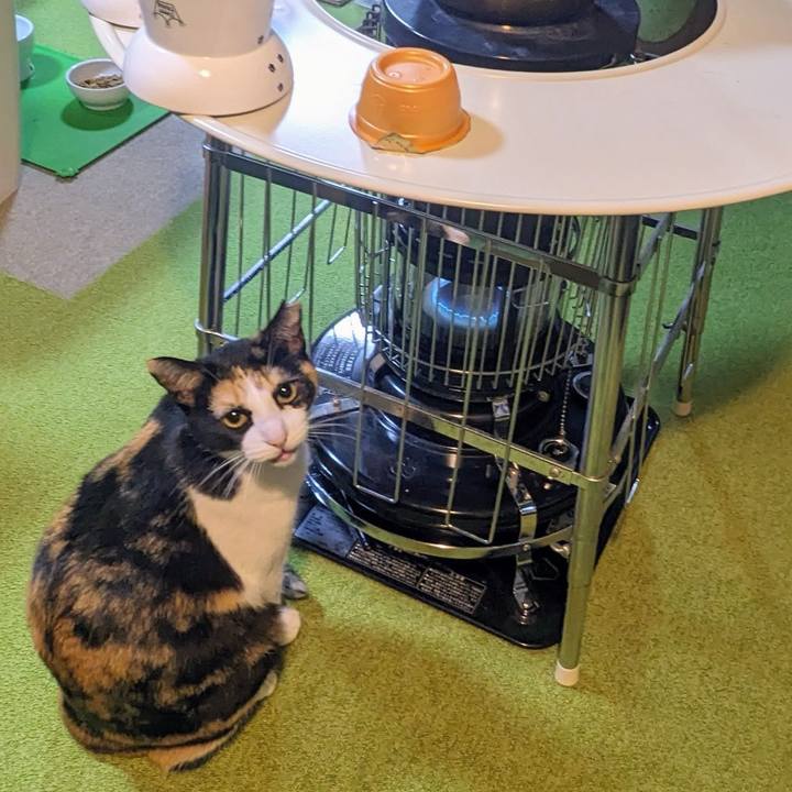 2facf36e 289f 47f1 b9a6 f471326a8b55 1771370303627