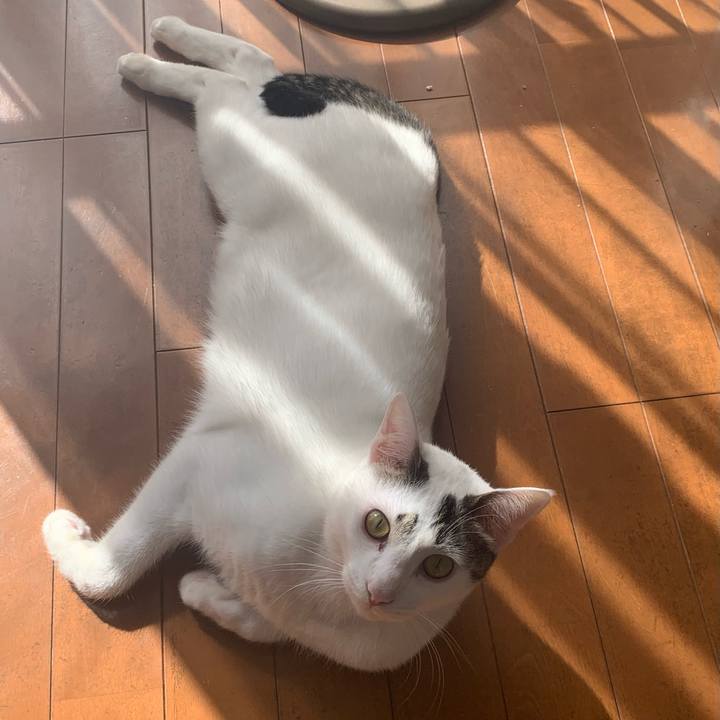 2fad283e cb9f 4a33 82a3 049b80e9440b 1613025792343